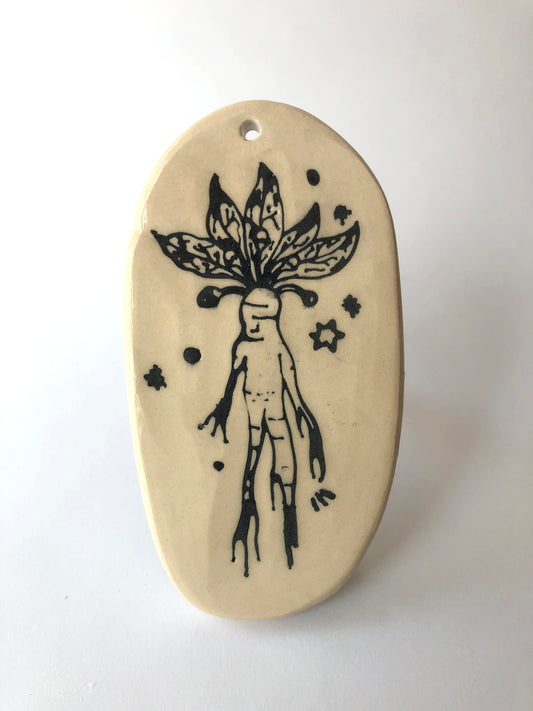 Mandrake root