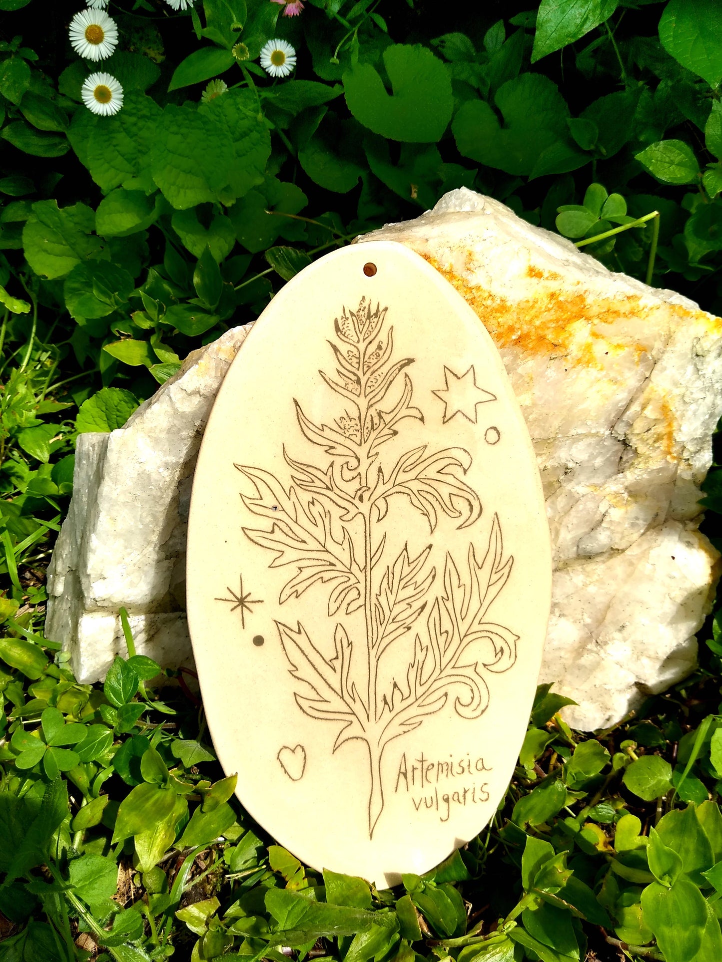 Artemisa vulgaris charm